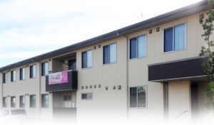 サンライズ泉公園