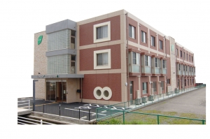 ゴールドエイジ・オリーブ